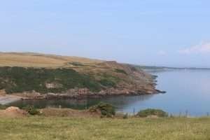 Mull of Galloway Summer 2021 Website design